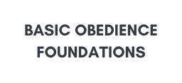 BASic obedience Foundations